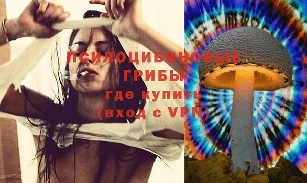 кокс Пересвет
