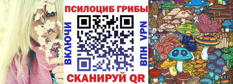 Псилоцибиновые грибы Psilocybine cubensis  Донецк 